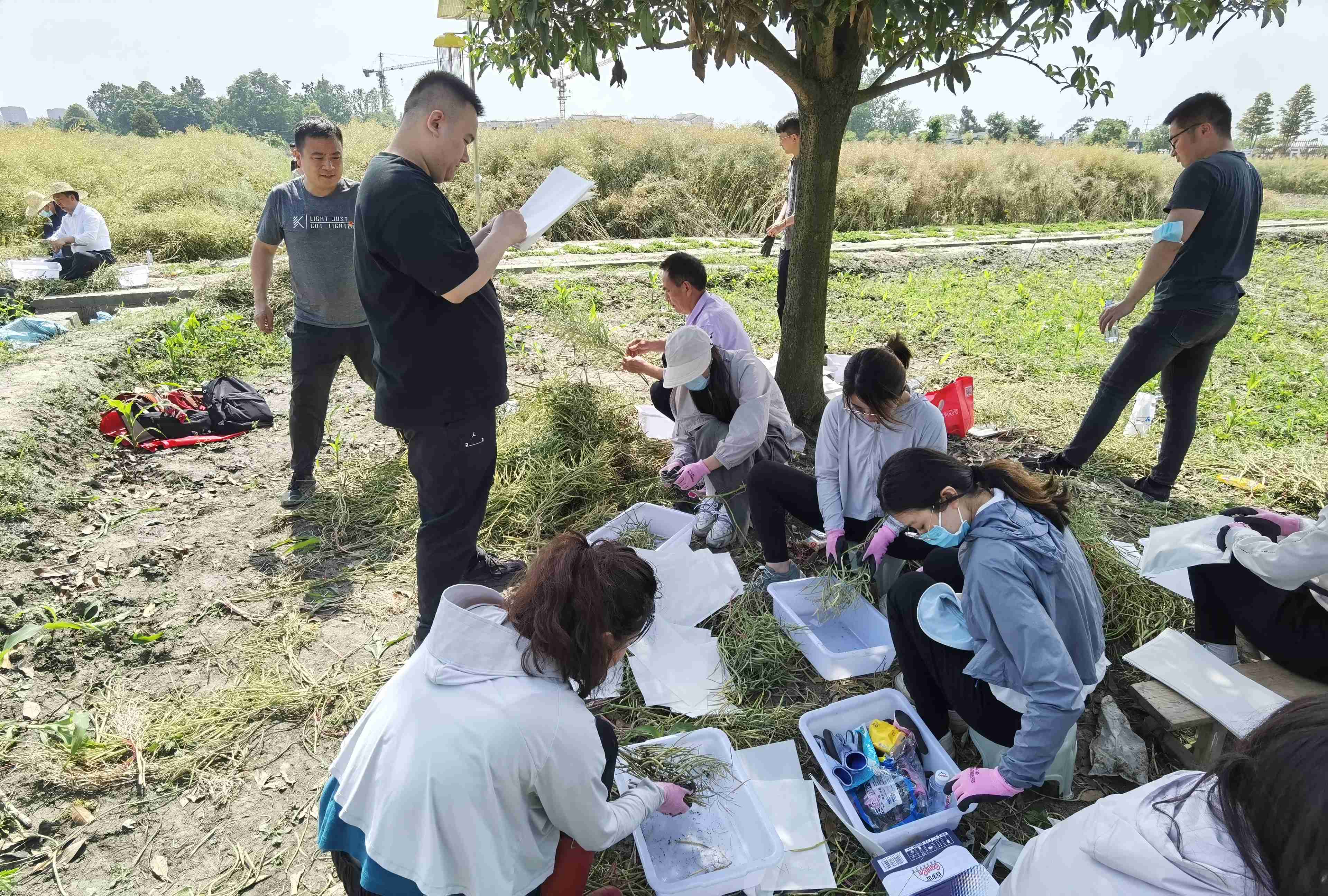 2023年5月8日四川种业集团党委开展“服务现代化 建设新征程”主题党日活动3（张青拍摄）(1).jpg