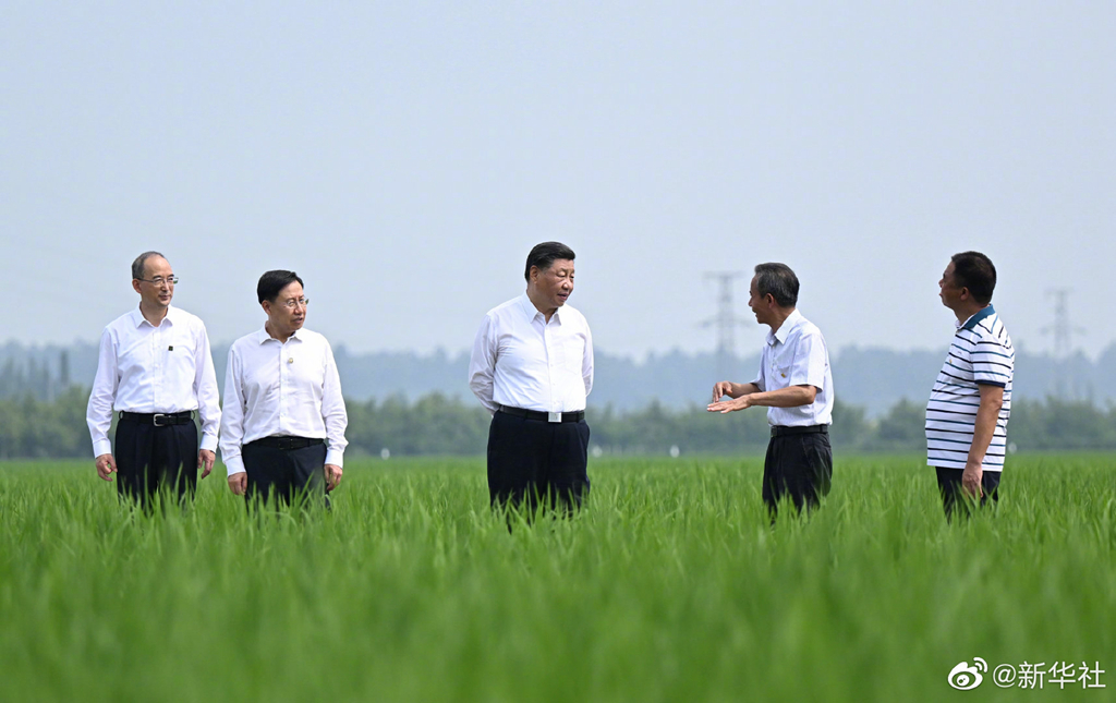 学习习近平总书记关于现代种业发展的重要论述