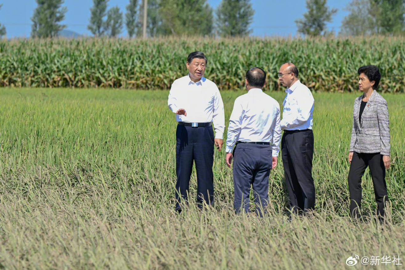 习近平在黑龙江考察时强调 牢牢把握在国家发展大局中的战略定位 奋力开创黑龙江高质量发展新局面.png