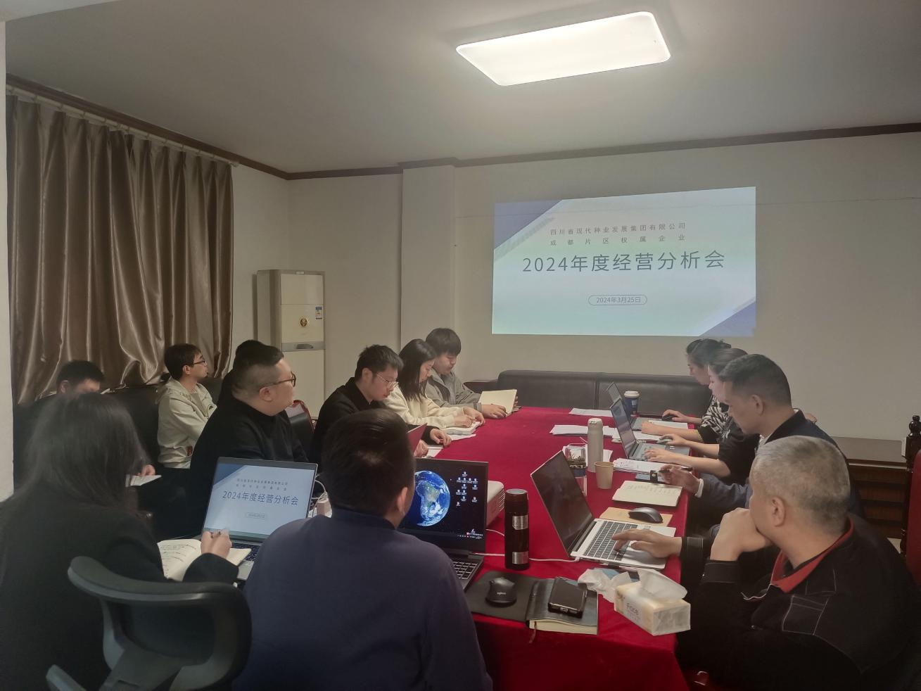 成都片区权属企业召开2024年度经营分析会