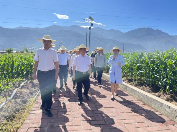 全省制种基地提升行动暨种业园区建设管理培训会在西昌召开2.jpg