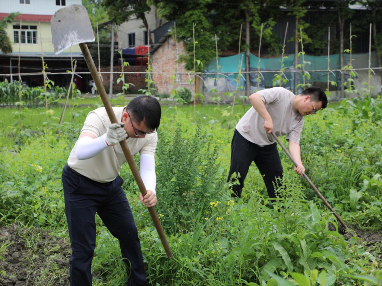 四川现代种业集团第二党支部举办“党建引领促春耕，不负农时迎丰收”主题党日活动4.png