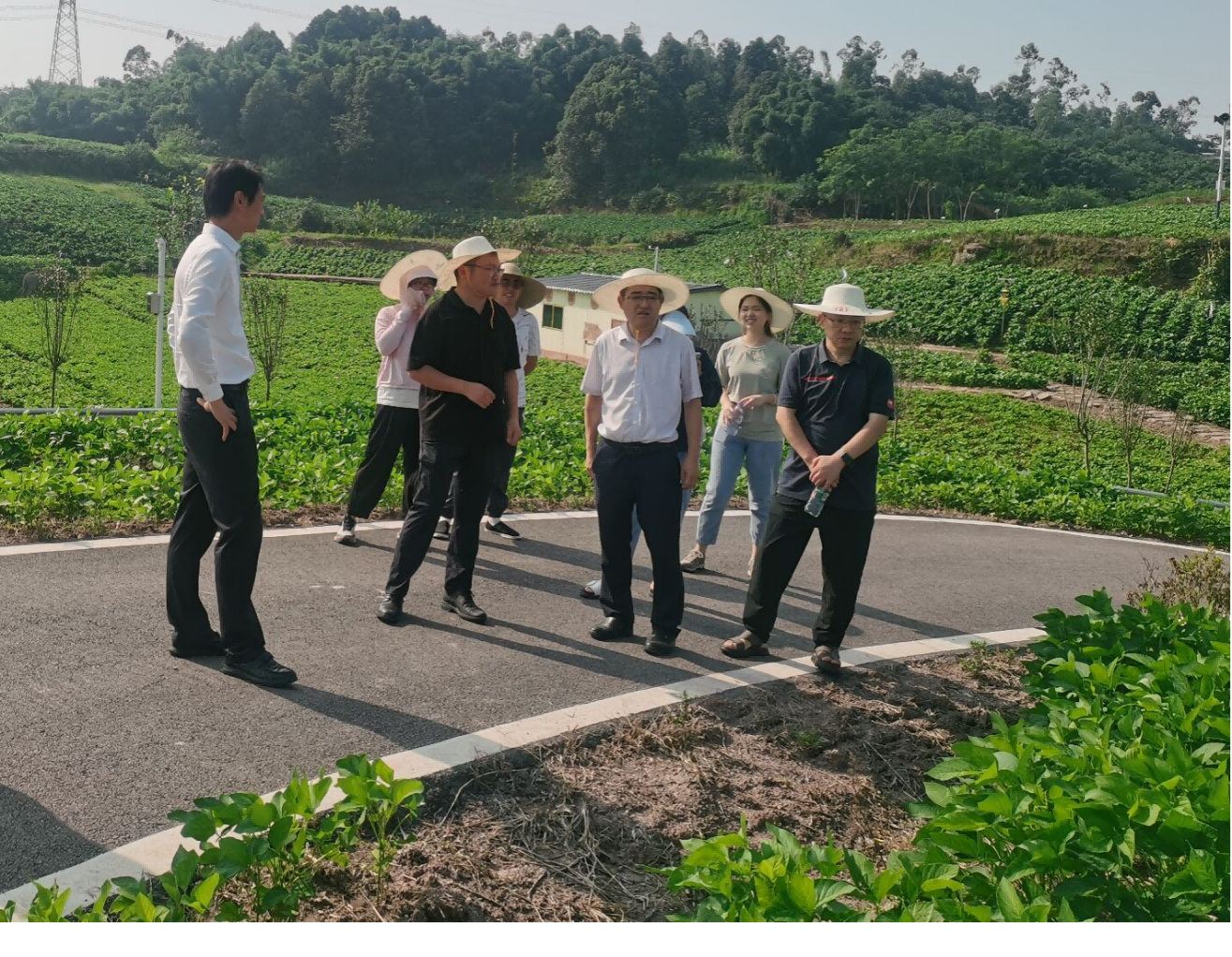 省植保站到种芯农业调研指导大豆种子生产检疫工作