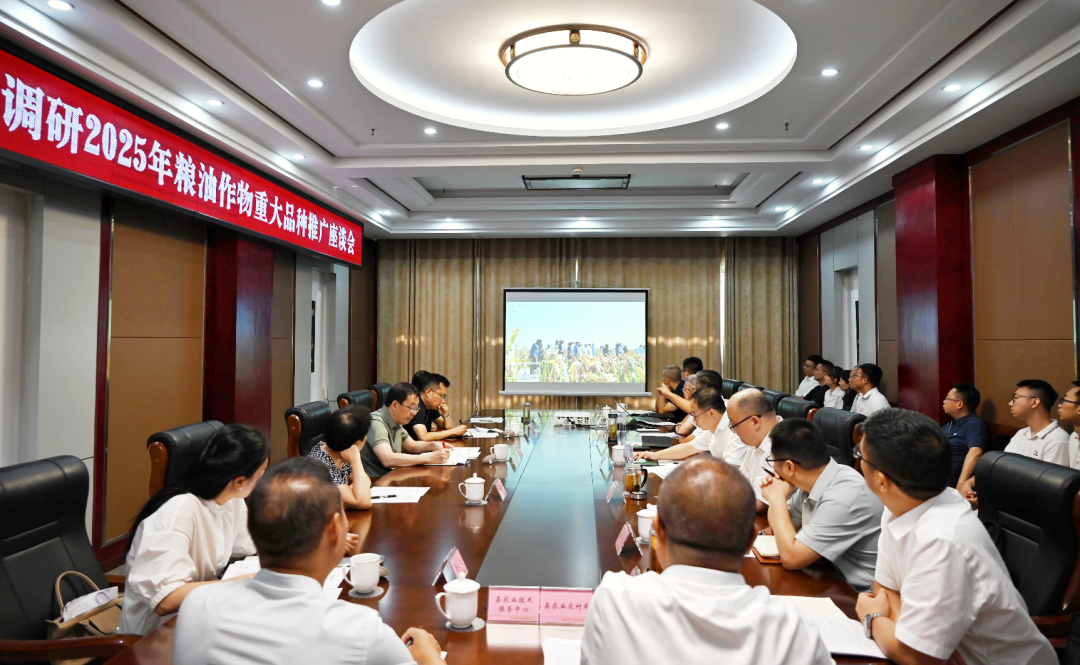 省农业农村厅调研2025年粮油作物重大品种推广工作 四川现代种业集团作专题汇报