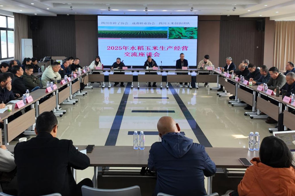 6932b612a46f6.png 种衍玉米生产经营pic.png