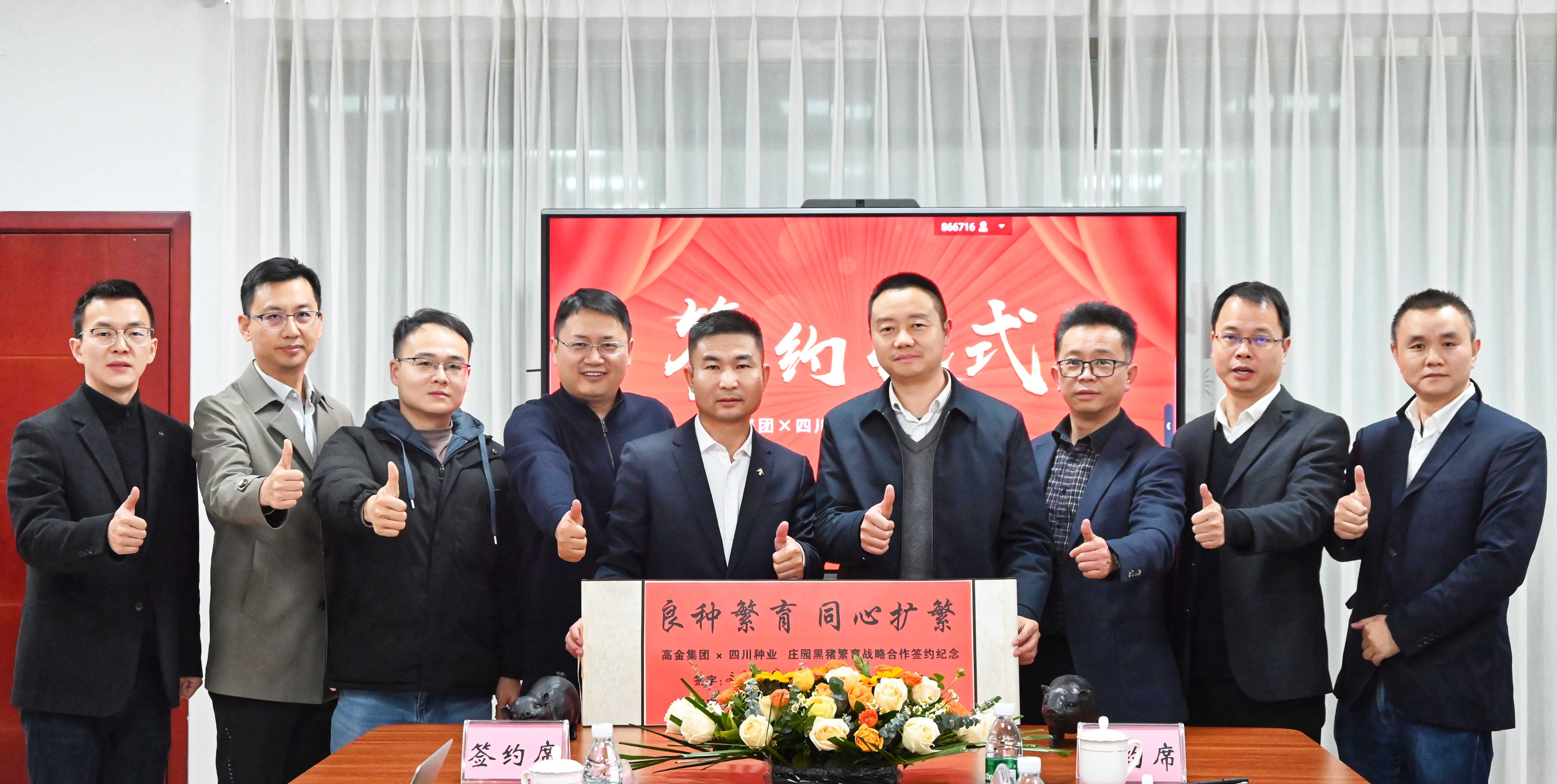 6981b1f6a2c18.jpg 蜀芯猪高金签约合作pic2(1).jpg