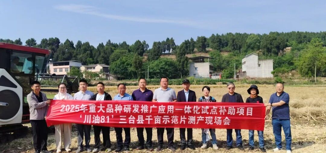 油菜品种迎“大考” 交出亮眼“成绩单”