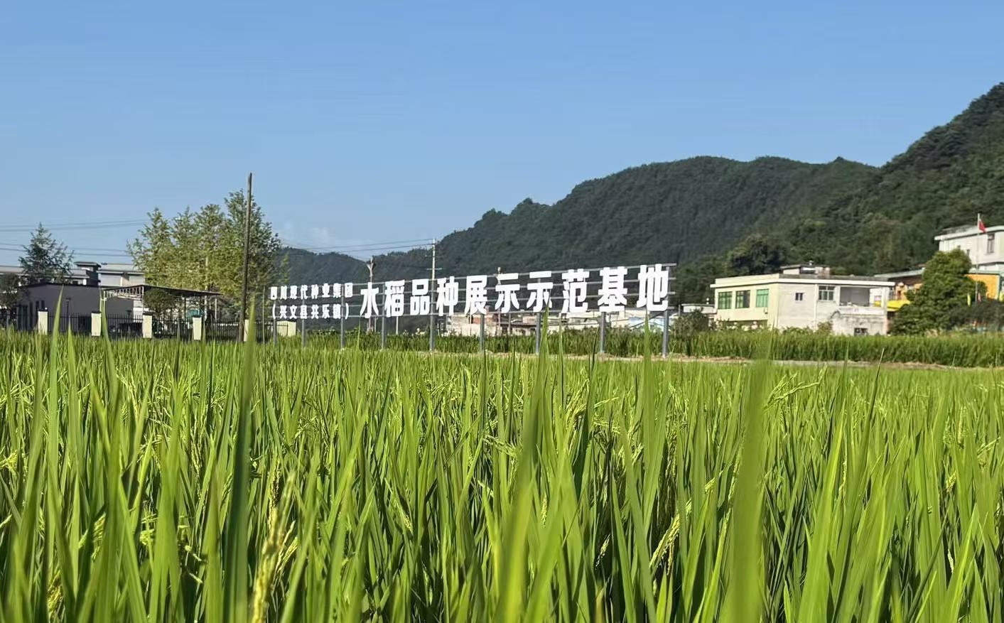 6a6af376ac77a.jpg 微信图片_20260730144521_612_648.jpg