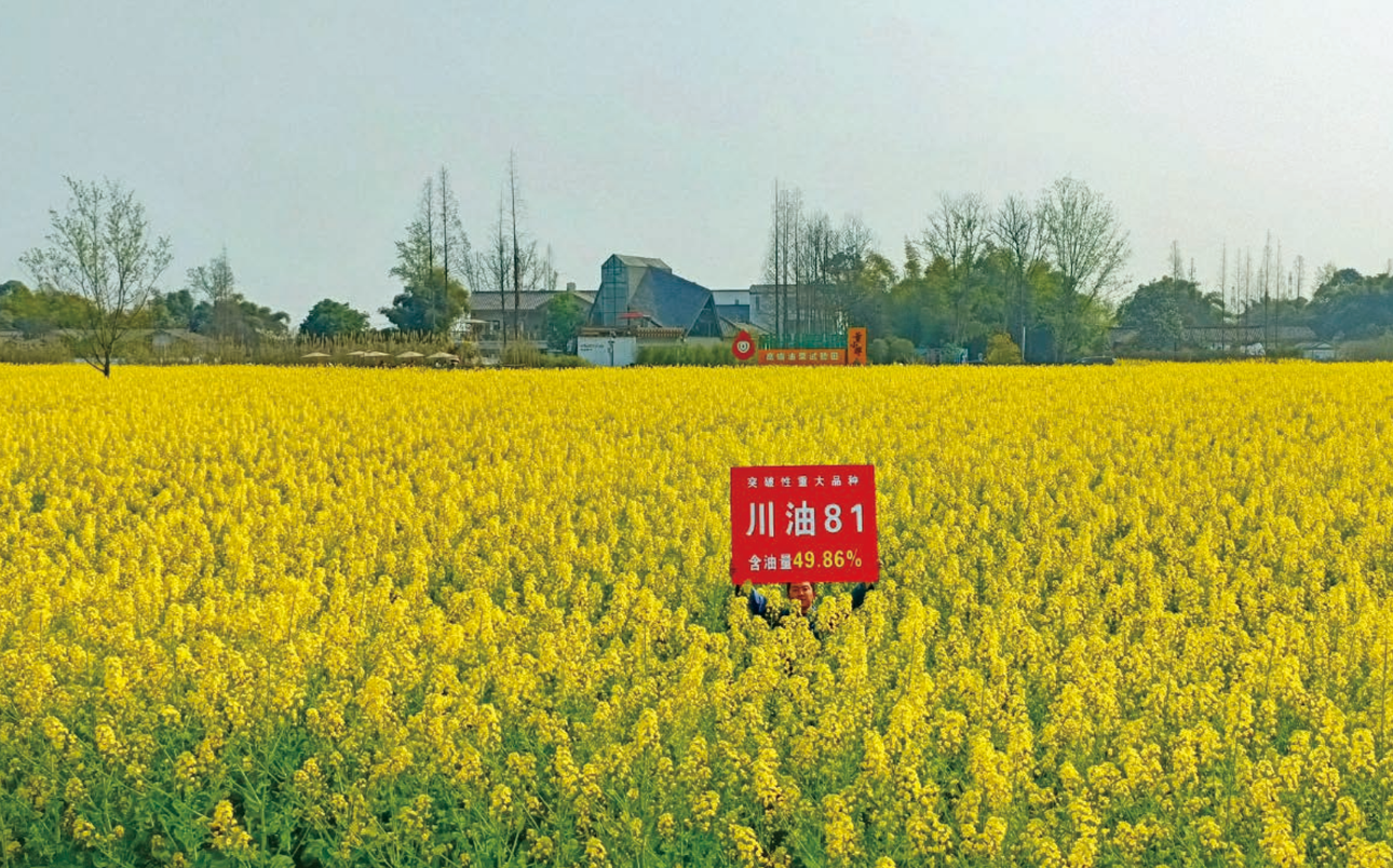 6aacf8467c46d.png 川油81.png